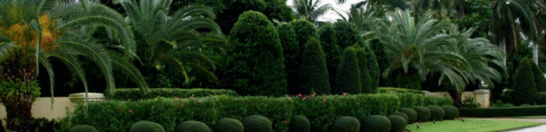 Eastern Exterminating Florida Tree Care