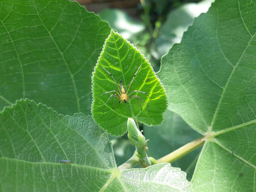 Eastern Exterminating Florida Pest Control